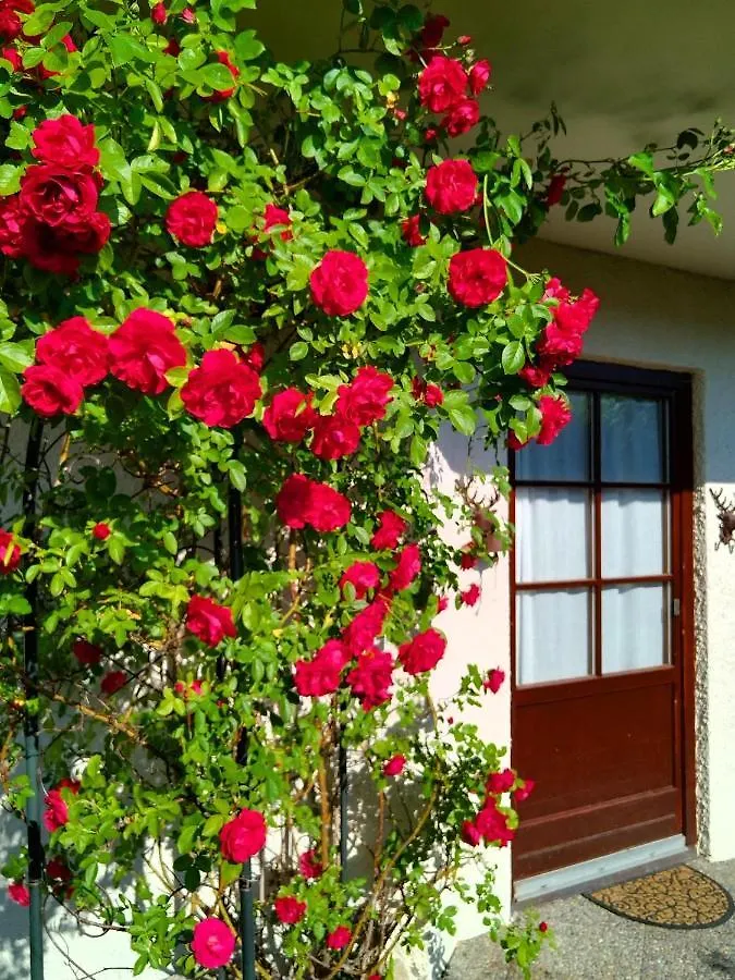 Ferienwohnung Heidi Mit Oberstaufen Plus