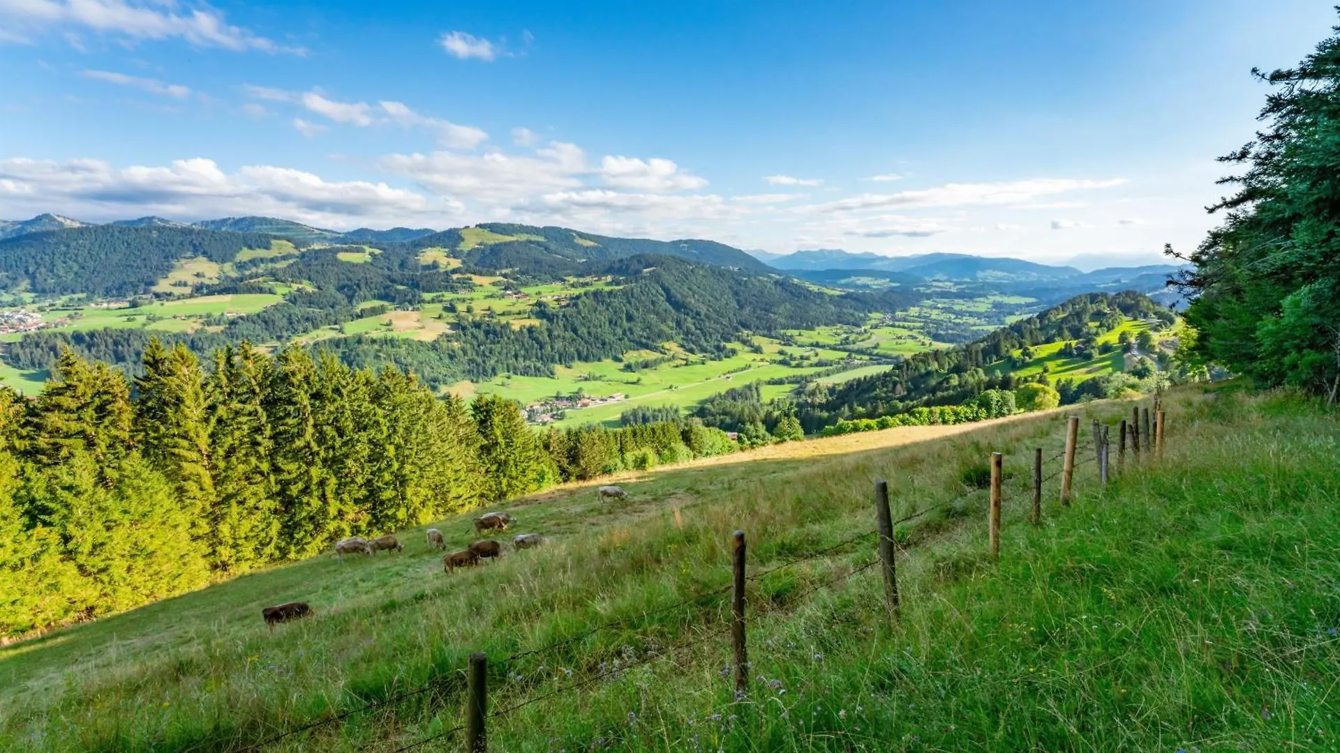 شقة Ferienwohnung Heidi Mit Oberstaufen Plus